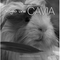 Voglio una cavia