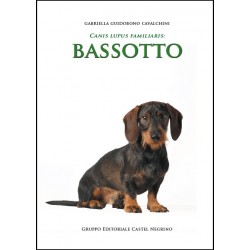 Bassotto