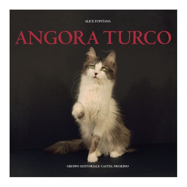 Angora Turco