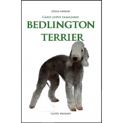 Bedlington Terrier