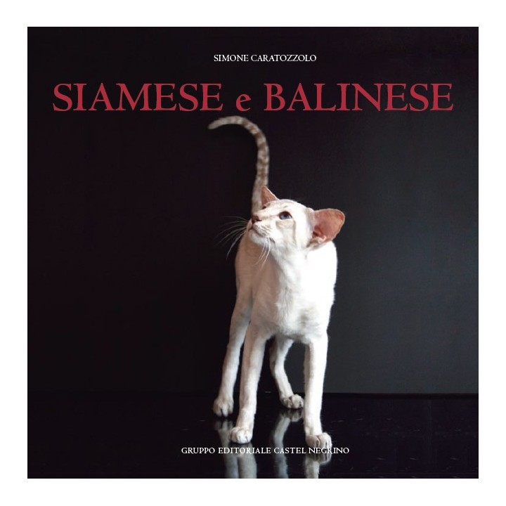 Siamese e balinese