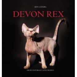 Devon rex