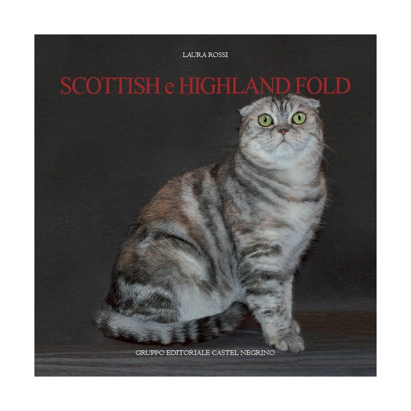 Scottish e higland fold
