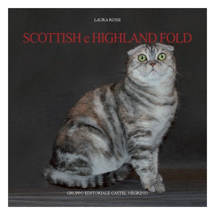 Scottish e higland fold