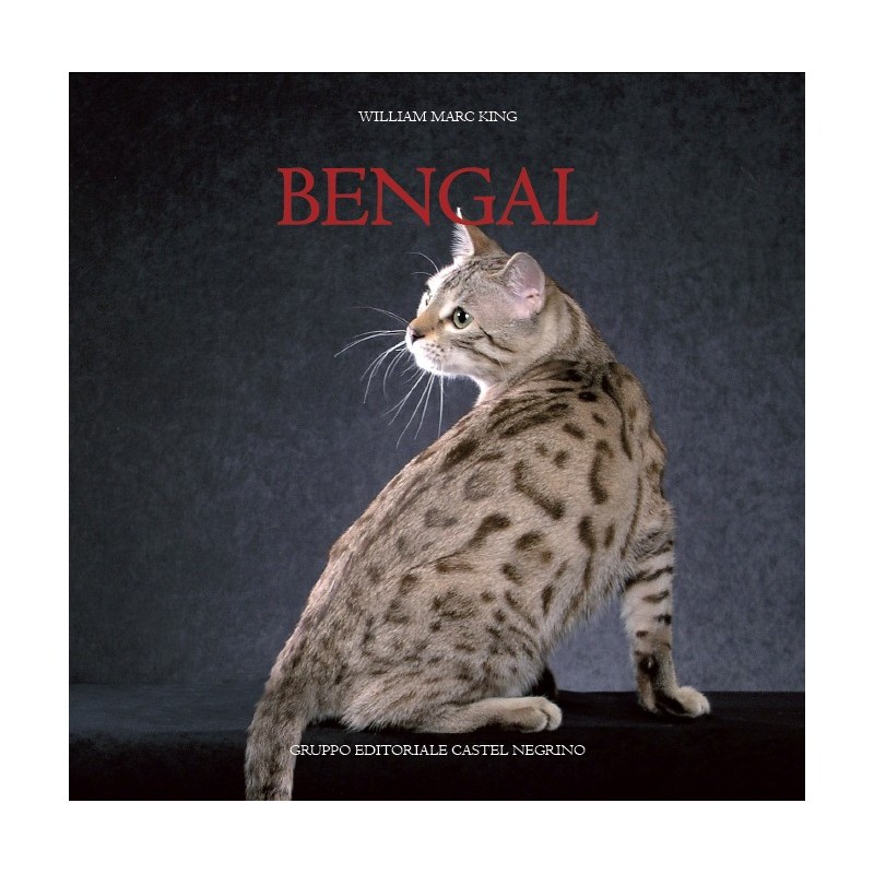 Bengal