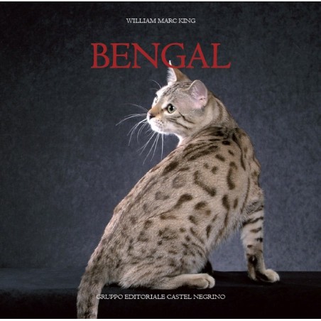 Bengal