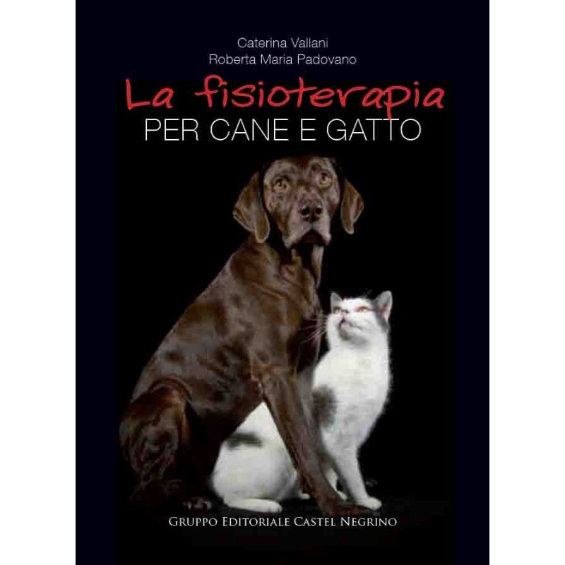 La fisioterapia per cane e gatto