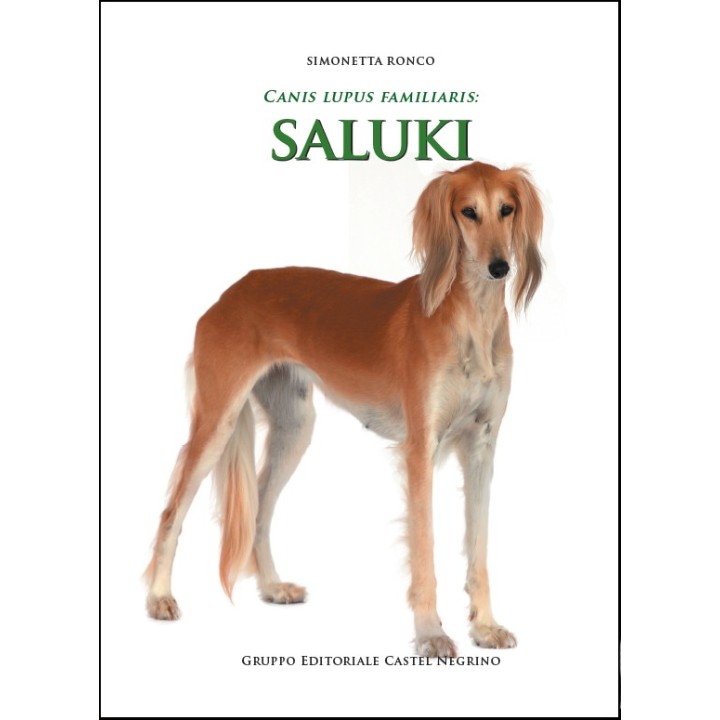 Saluki