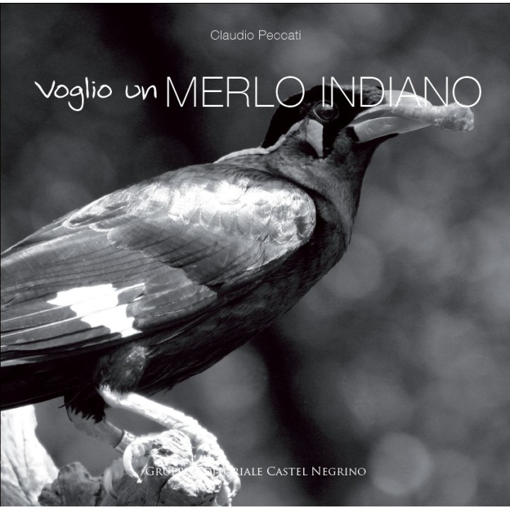 Voglio un merlo indiano