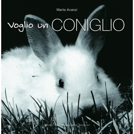 Immagine di copertina