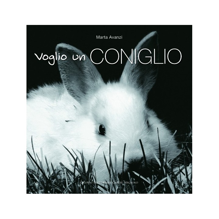 Immagine di copertina