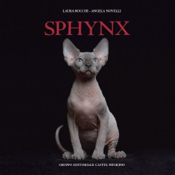 Immagine di copertina libro Sphynx