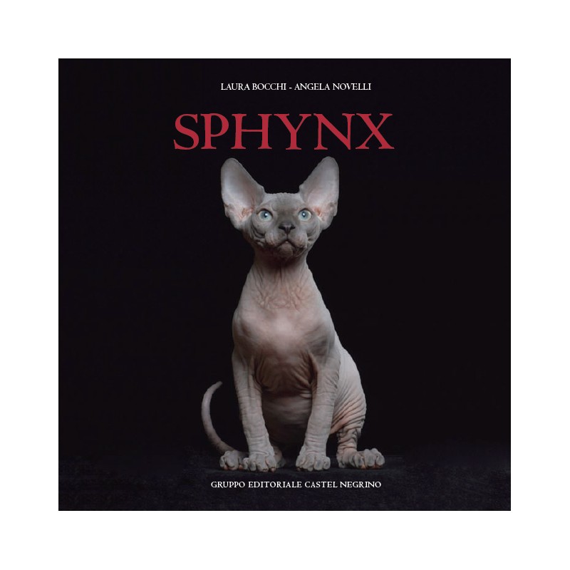 Immagine di copertina libro Sphynx
