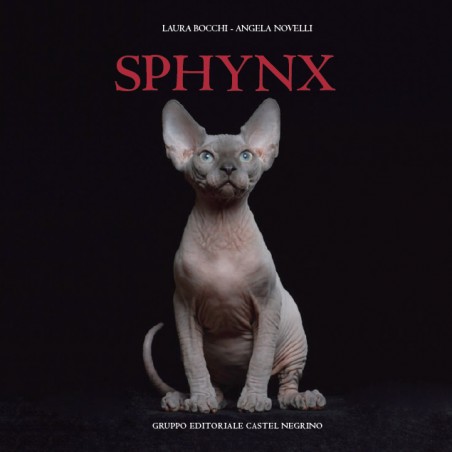 Immagine di copertina libro Sphynx