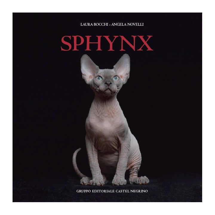 Immagine di copertina libro Sphynx