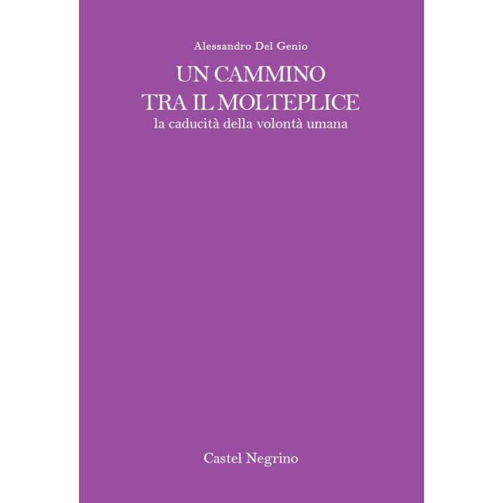 Un cammino tra il molteplice