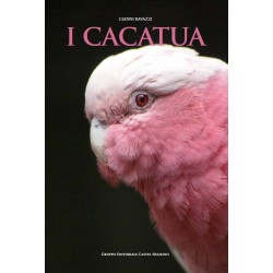 I cacatua