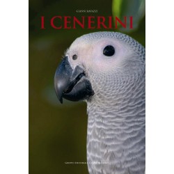 I cenerini