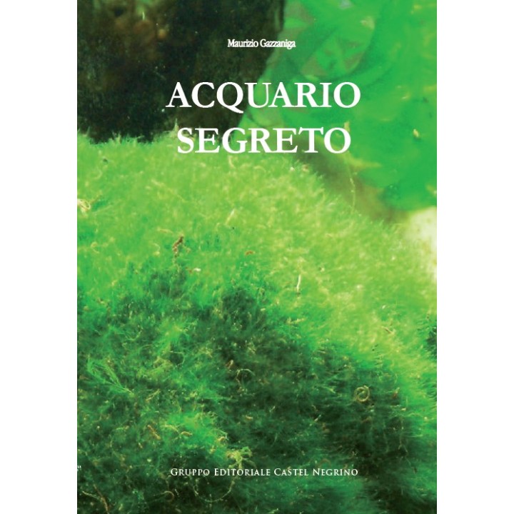 Acquario segreto